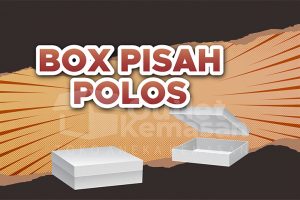box pisah polos